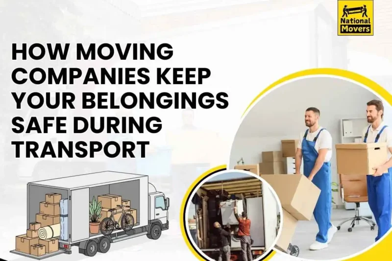 Packing and Moving Company