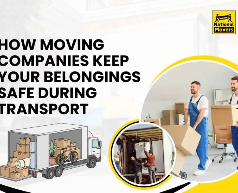 Packing and Moving Company