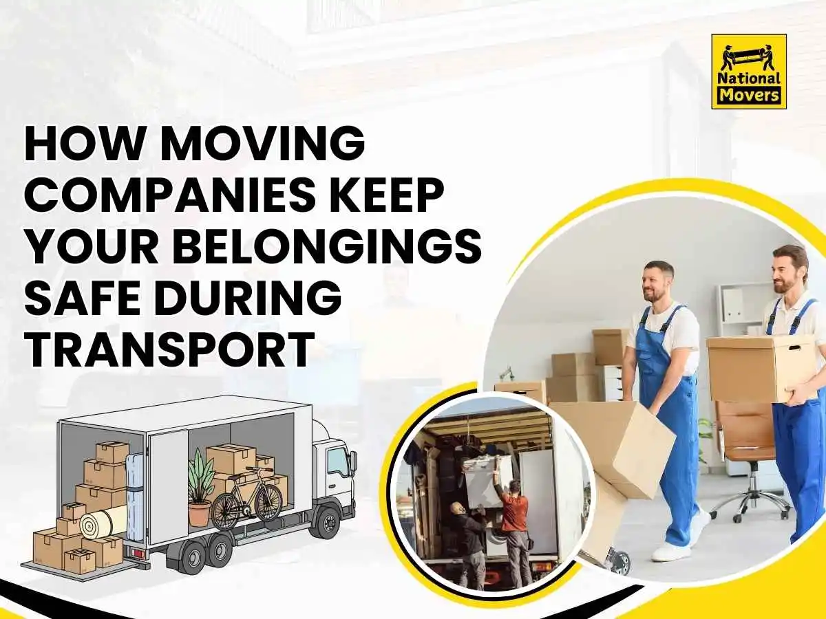 Packing and Moving Company