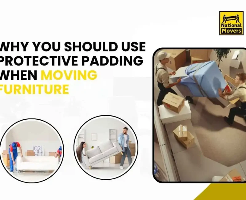 Furniture Movers Tauranga