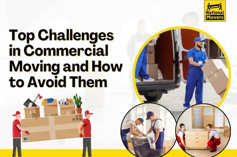 Commercial Relocation Services Tauranga