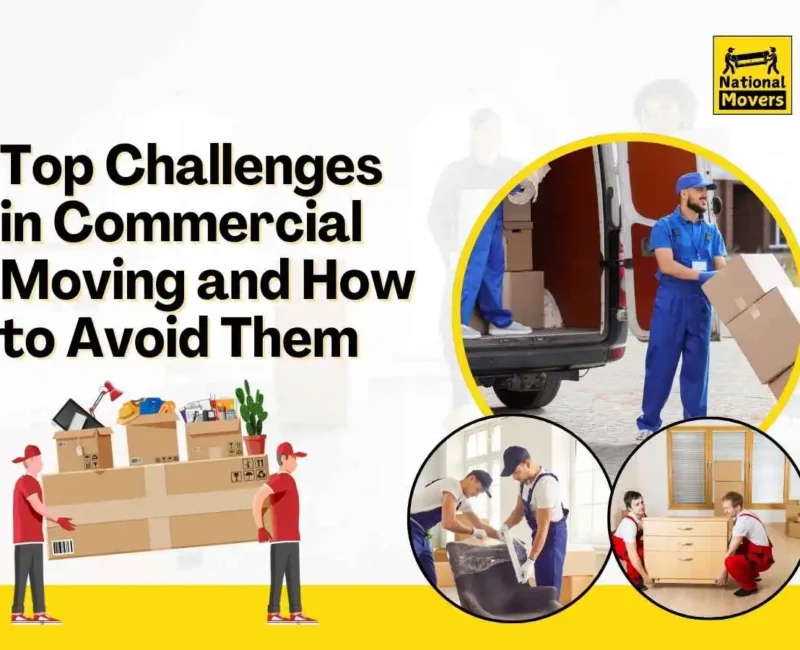 Commercial Relocation Services Tauranga