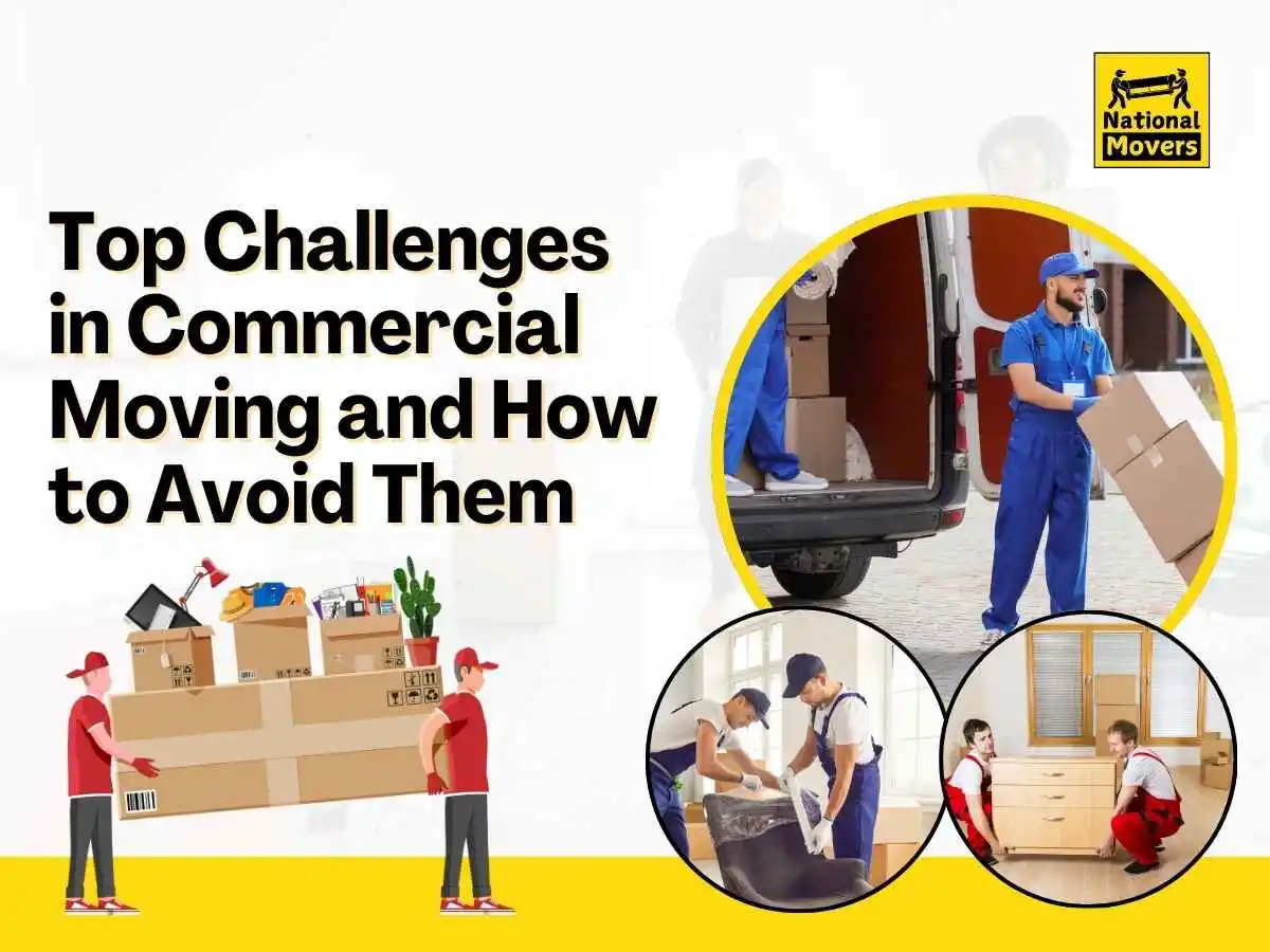 Commercial Relocation Services Tauranga